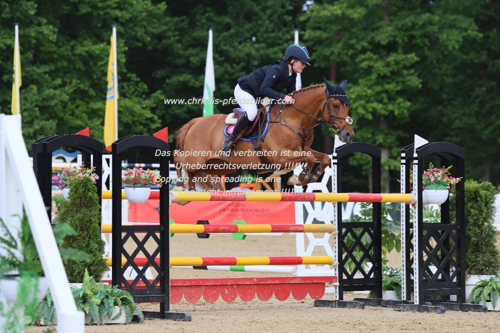 Preview hannah blandfort mit karim van orchid s IMG_2381.jpg